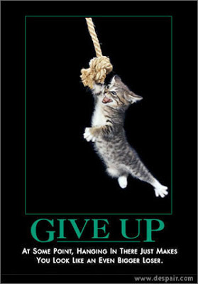 Give Up poster kitten