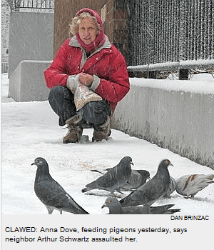 Dove feeding pigeons NY Post photo