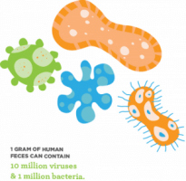 Global Handwashing Day bacteria graphic